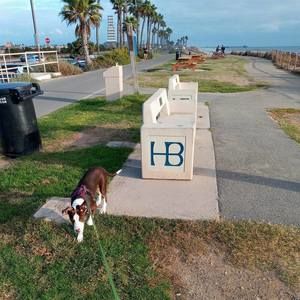 Meet your Posher, Patrick